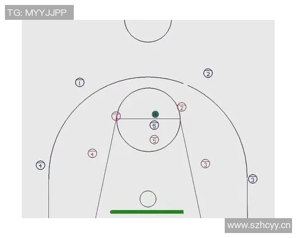 深入分析成都篮球队区域防守策略及其战术应用效果