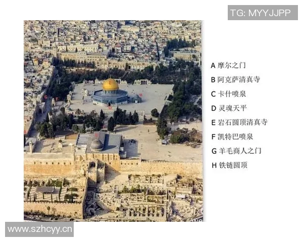 王者荣耀深度解析IG战队阵地战策略与战术布局探秘