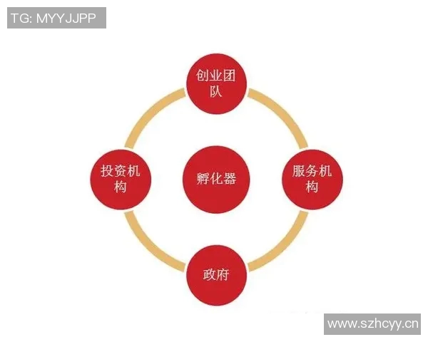 以酒店为核心打造的全方位服务体验提升方案及创新发展路径分析